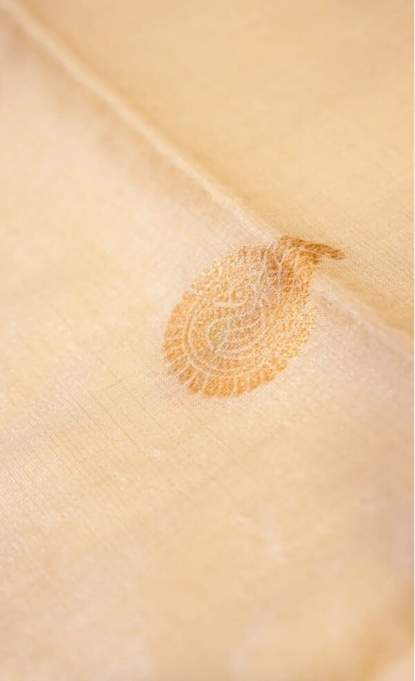 Banarasi Cream Raw Silk Saree with Golden Zari Border | ₹2999 Banarasi Cream Raw Silk Saree