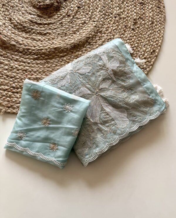 Pastel Mint Green Crystal Tissue Saree | Design with Zari Work Pastel Mint Green Crystal Tissue Saree