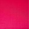 Hot Pink Banarasi Patola Silk Saree