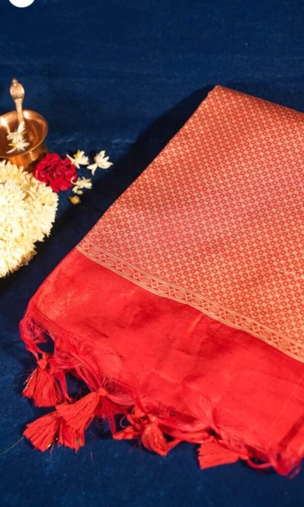 Banarasi Red Rangkaat Silk Saree | Bridal Handloom Banarasi Saree Banarasi Red Rangkaat Silk Saree